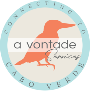 A VONTADE Logo